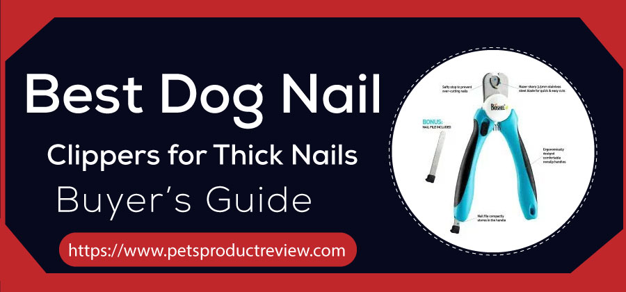Best Dog Nail Clippers for Thick Nails
