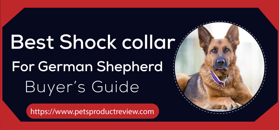 Best Shock collar For German Shepherd